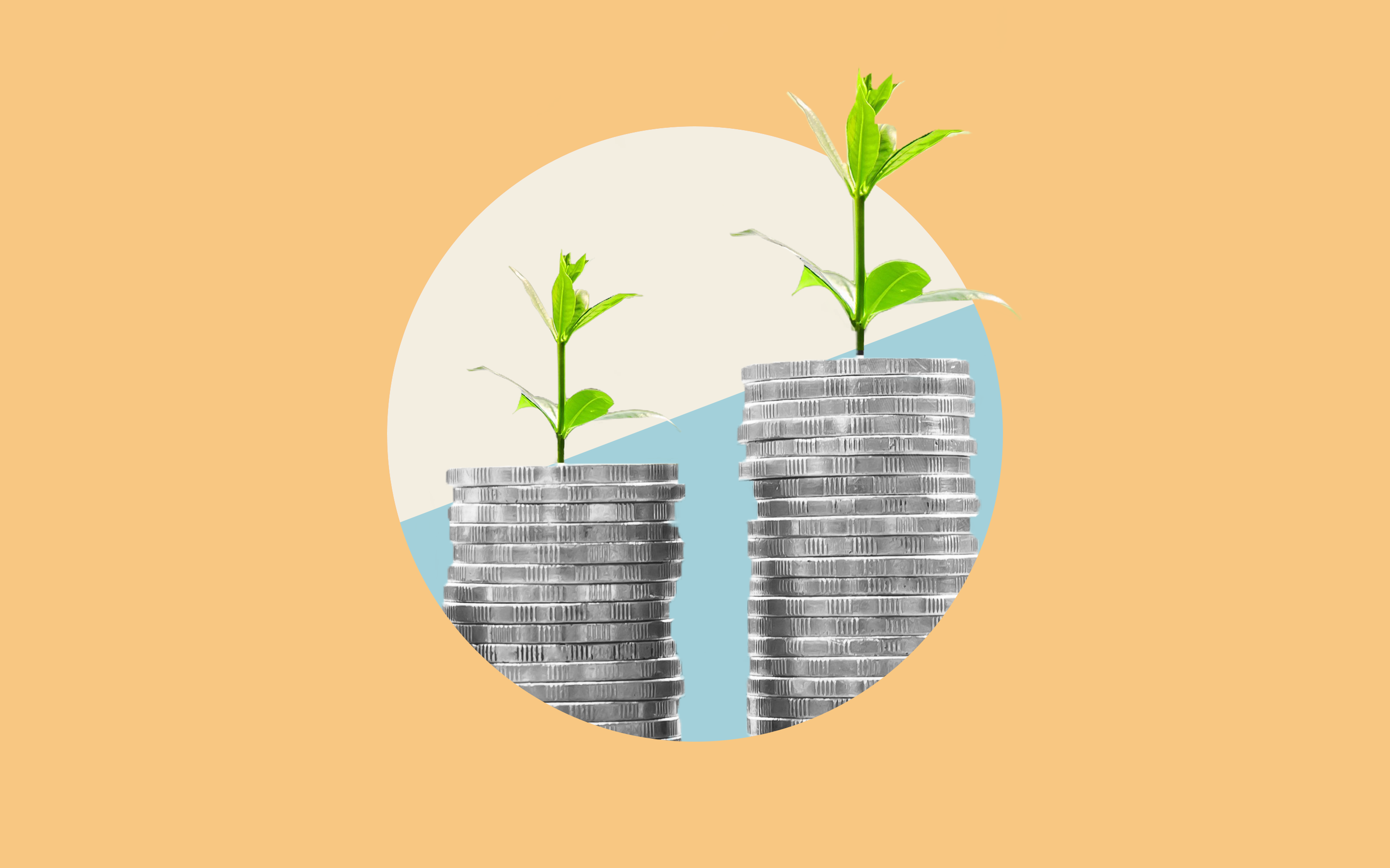 Fünf Schlüsselmassnahmen zur Förderung nachhaltiger Finanzen