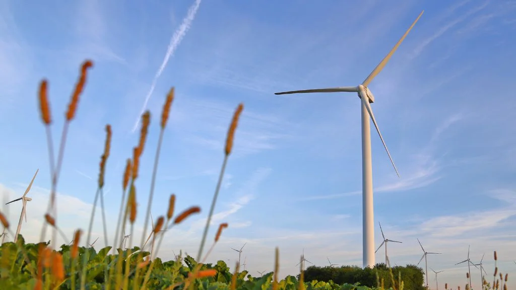 Inyova Grow Wi IPP Project