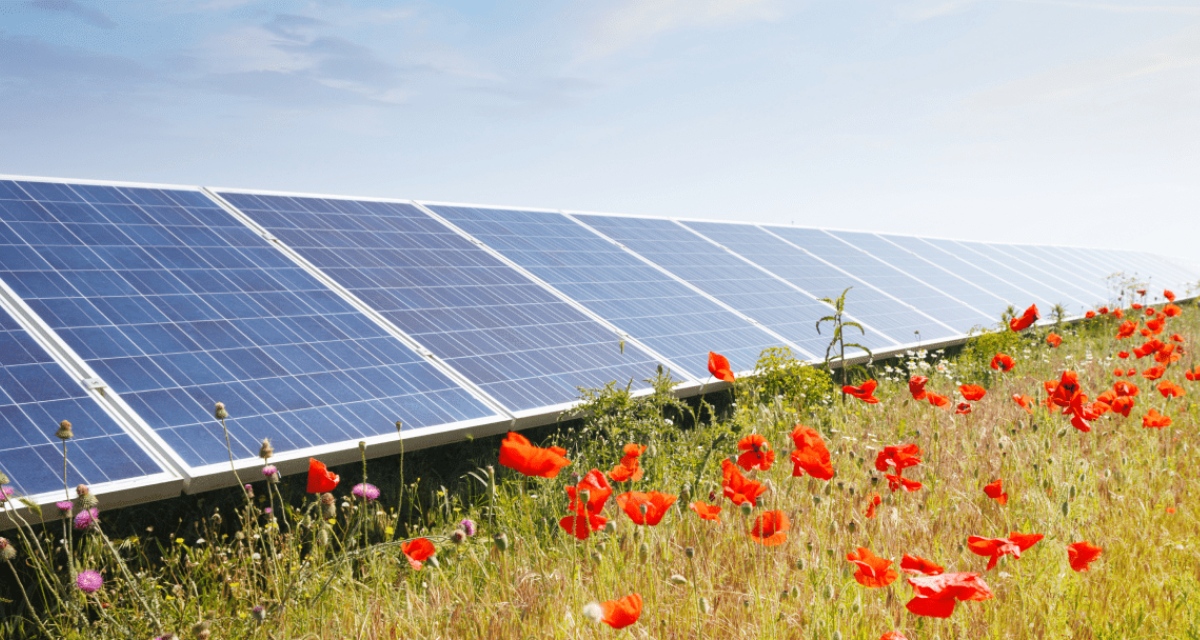 Comment Inyova Grow sélectionne ses projets